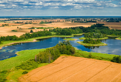 oz-vahzitava-banner-4 (1)